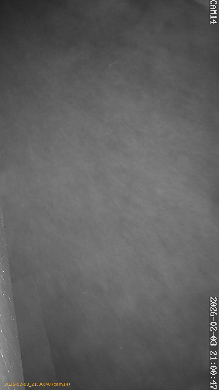 thumbnail_20260203210048