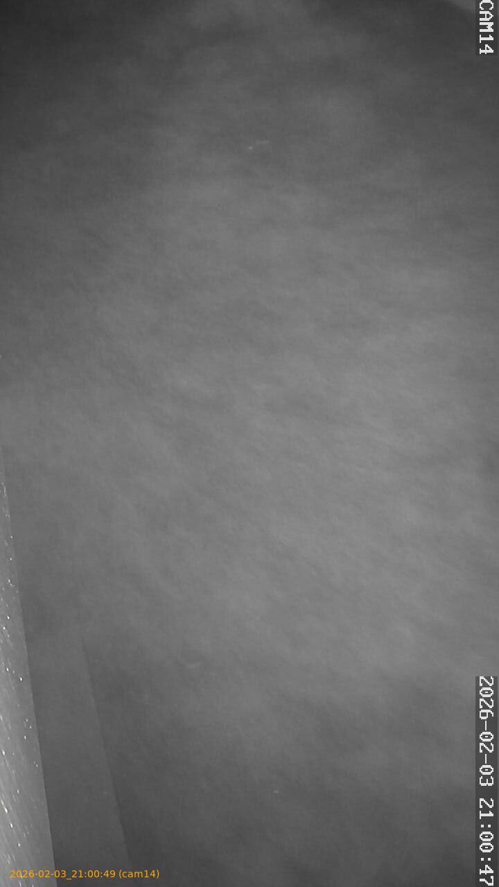 thumbnail_20260203210049