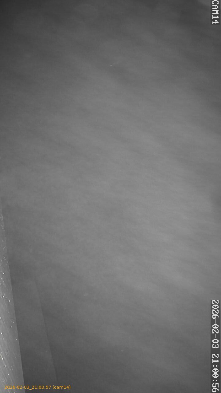 thumbnail_20260203210057