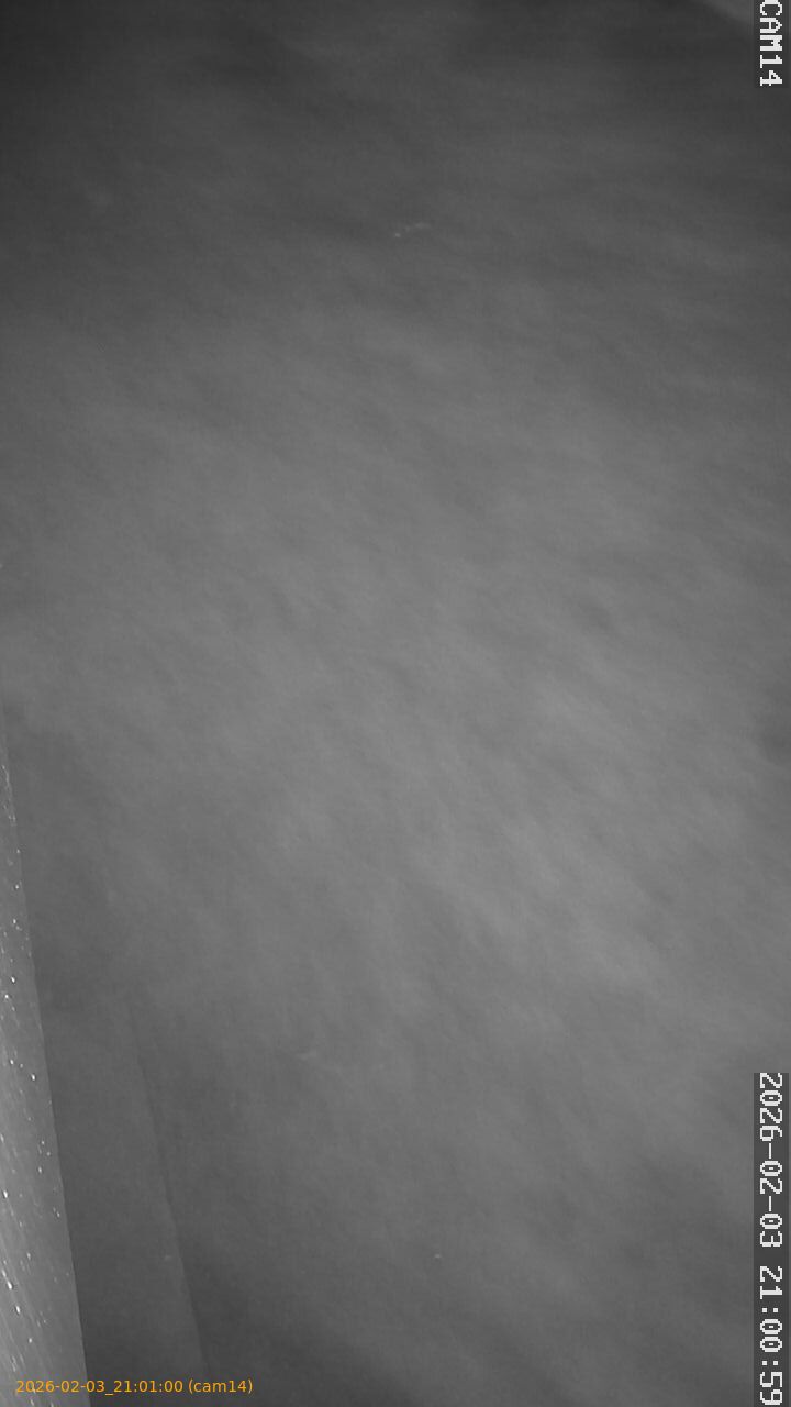 thumbnail_20260203210100