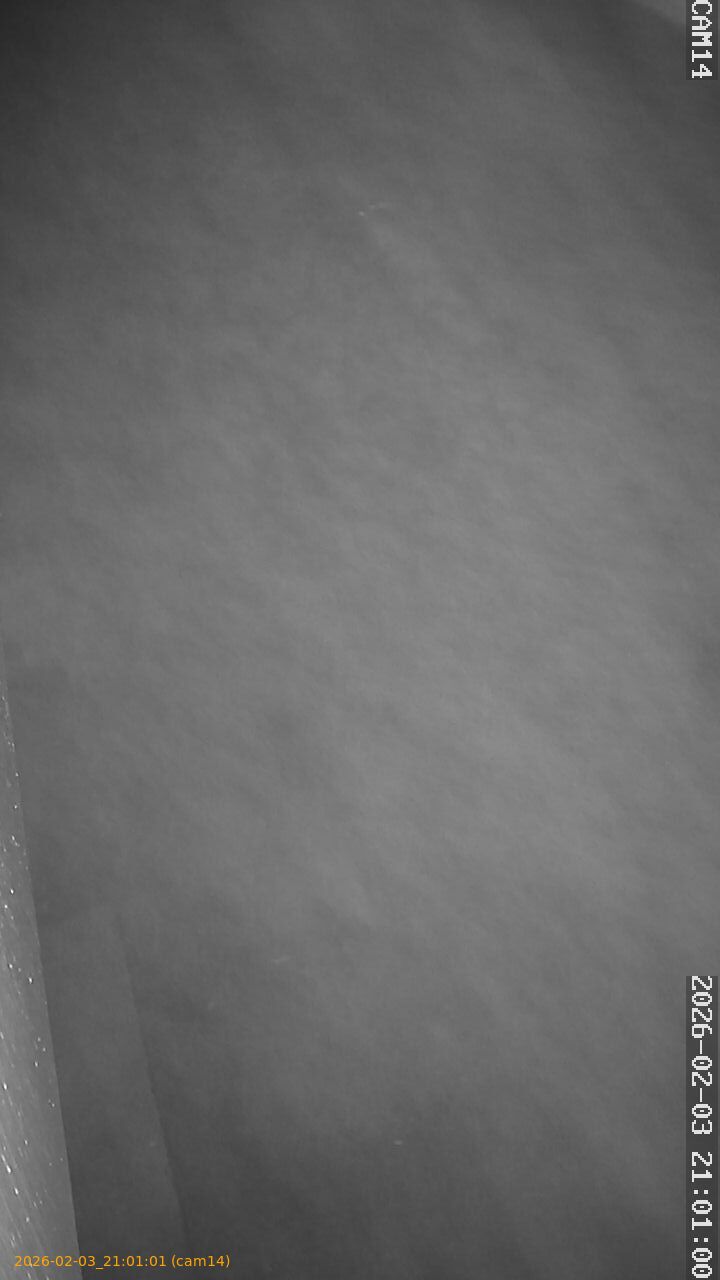 thumbnail_20260203210101