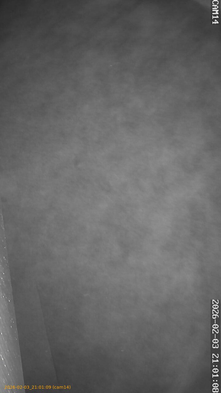 thumbnail_20260203210109