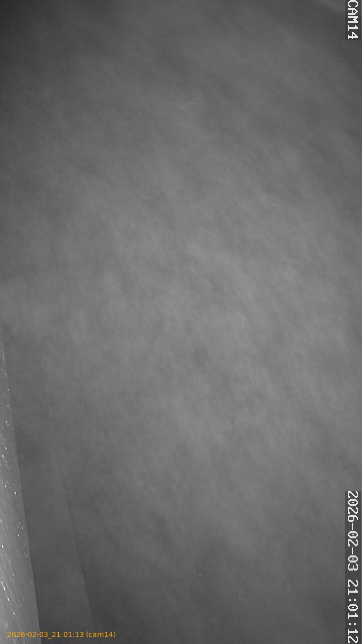 thumbnail_20260203210113