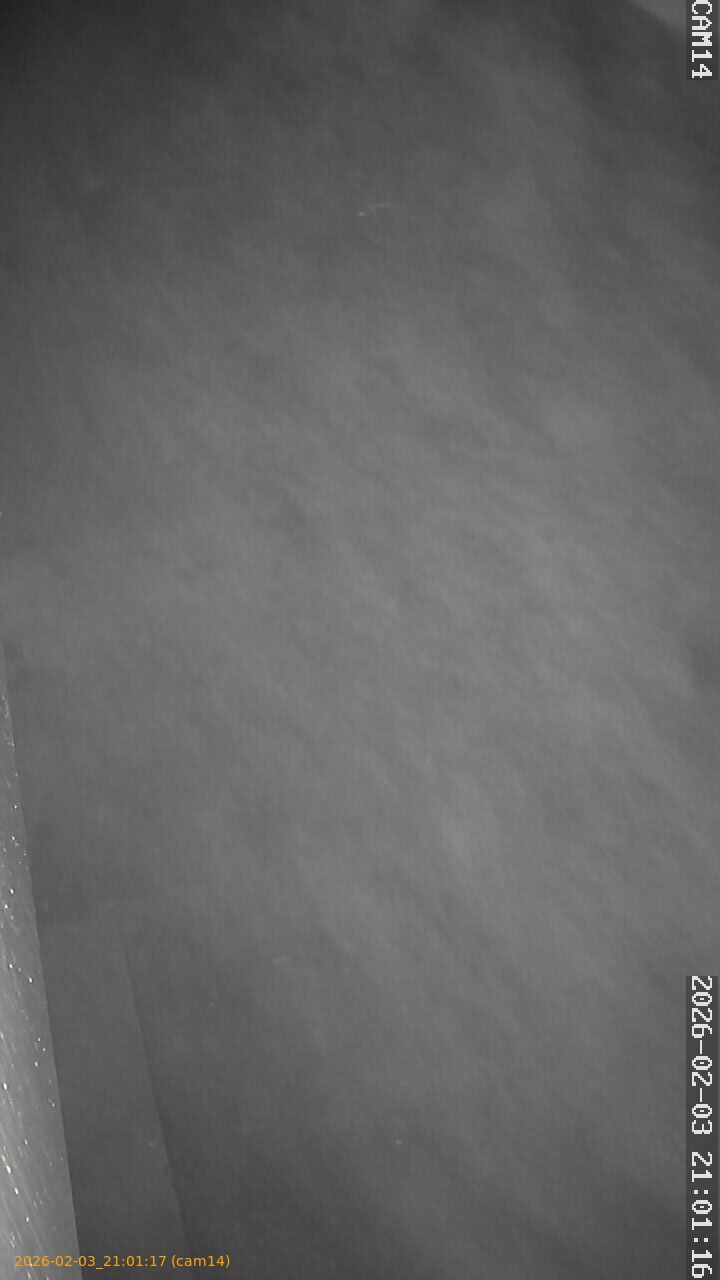 thumbnail_20260203210117