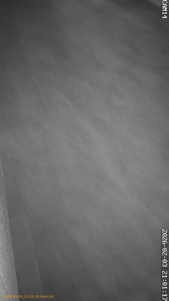 thumbnail_20260203210118