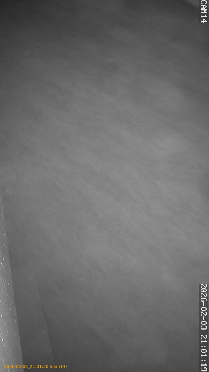 thumbnail_20260203210120