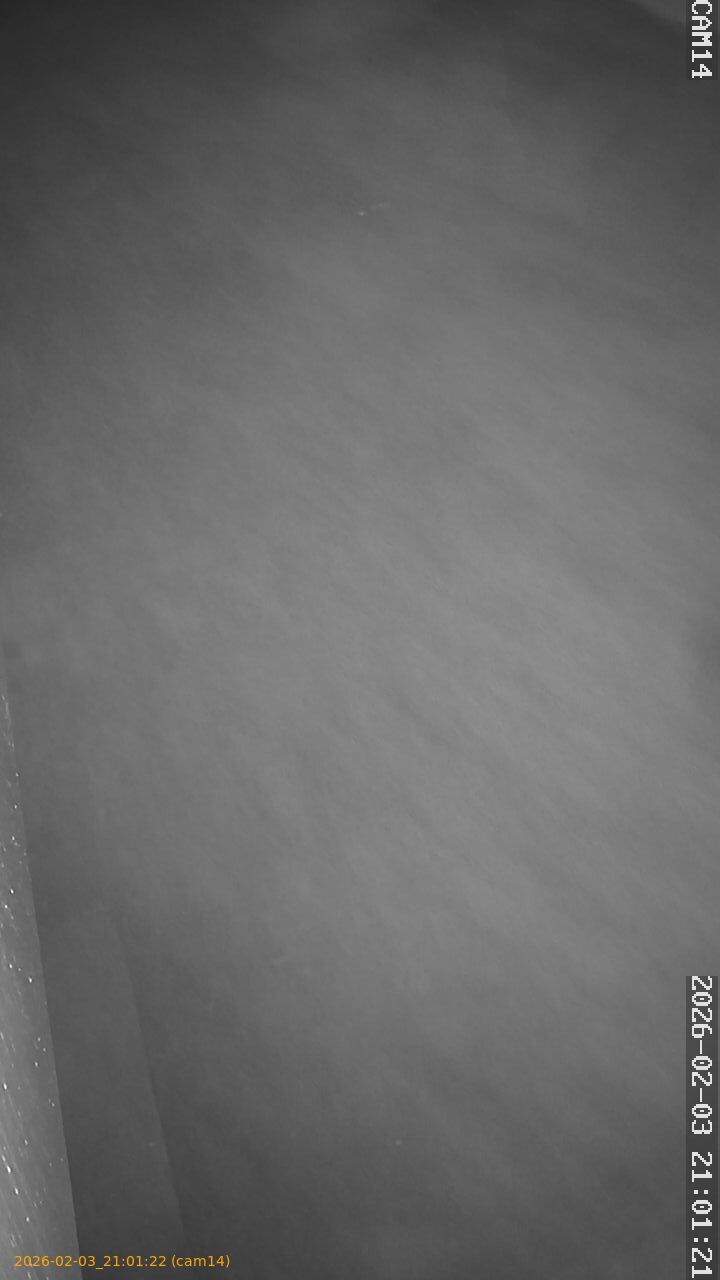 thumbnail_20260203210122