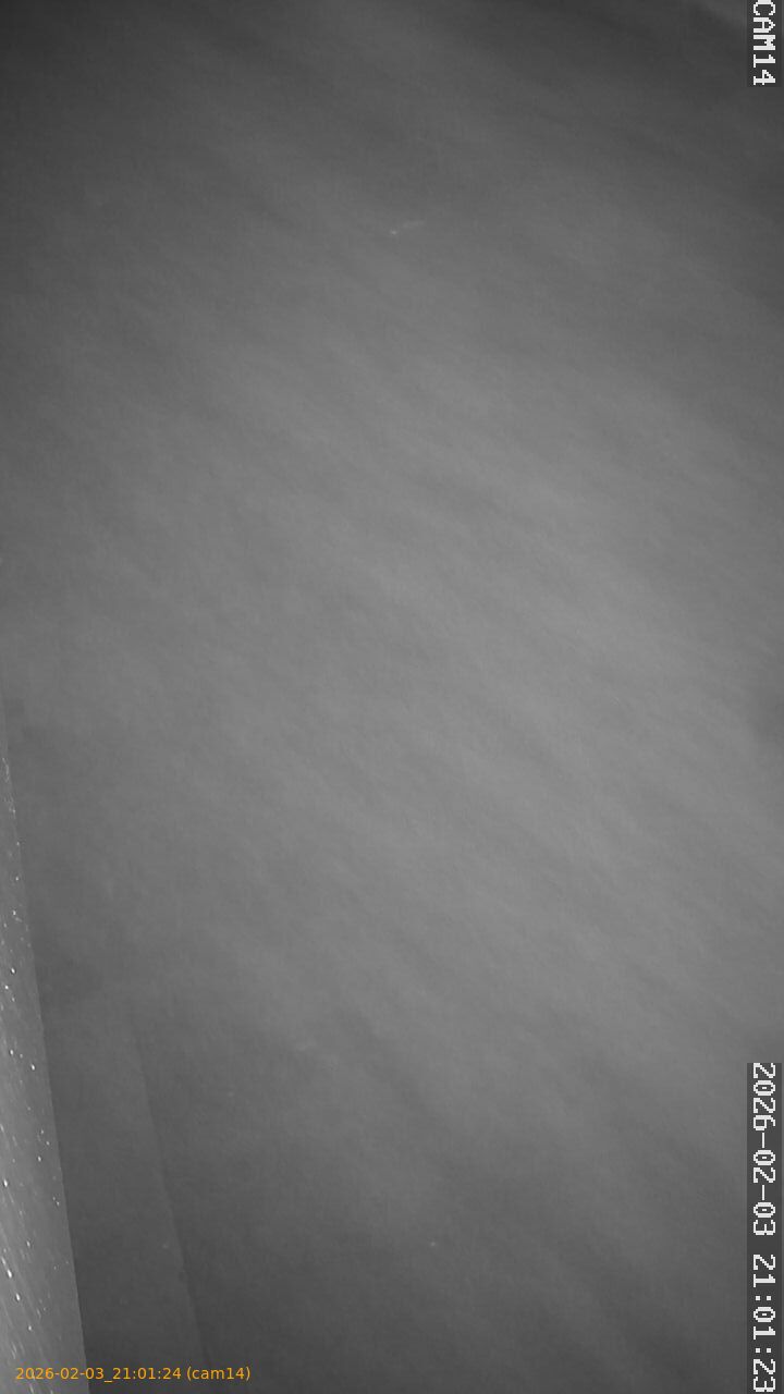 thumbnail_20260203210124