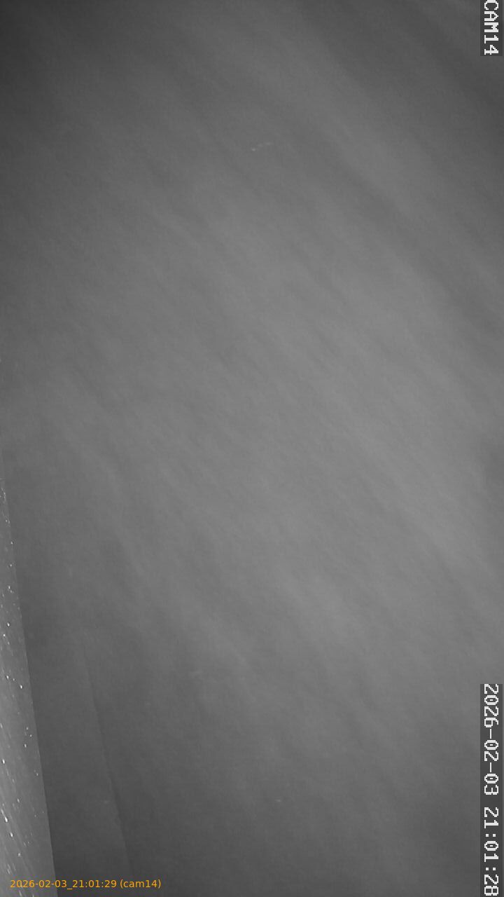 thumbnail_20260203210129