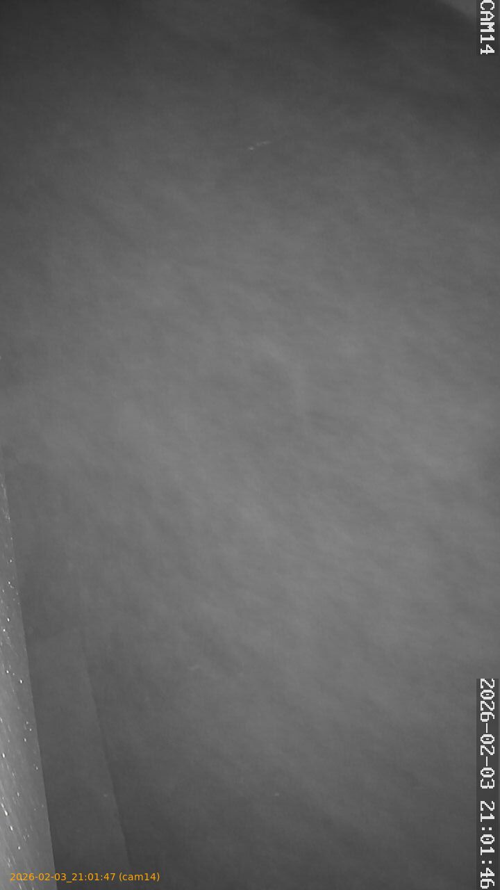 thumbnail_20260203210147