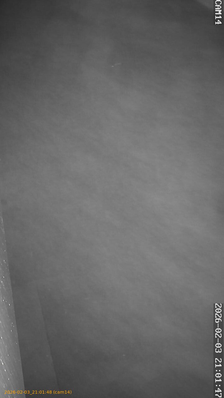 thumbnail_20260203210148