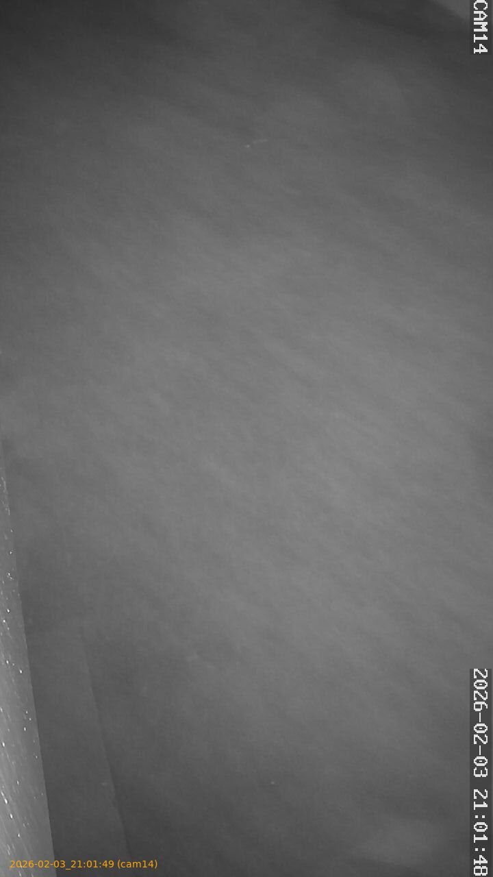 thumbnail_20260203210149