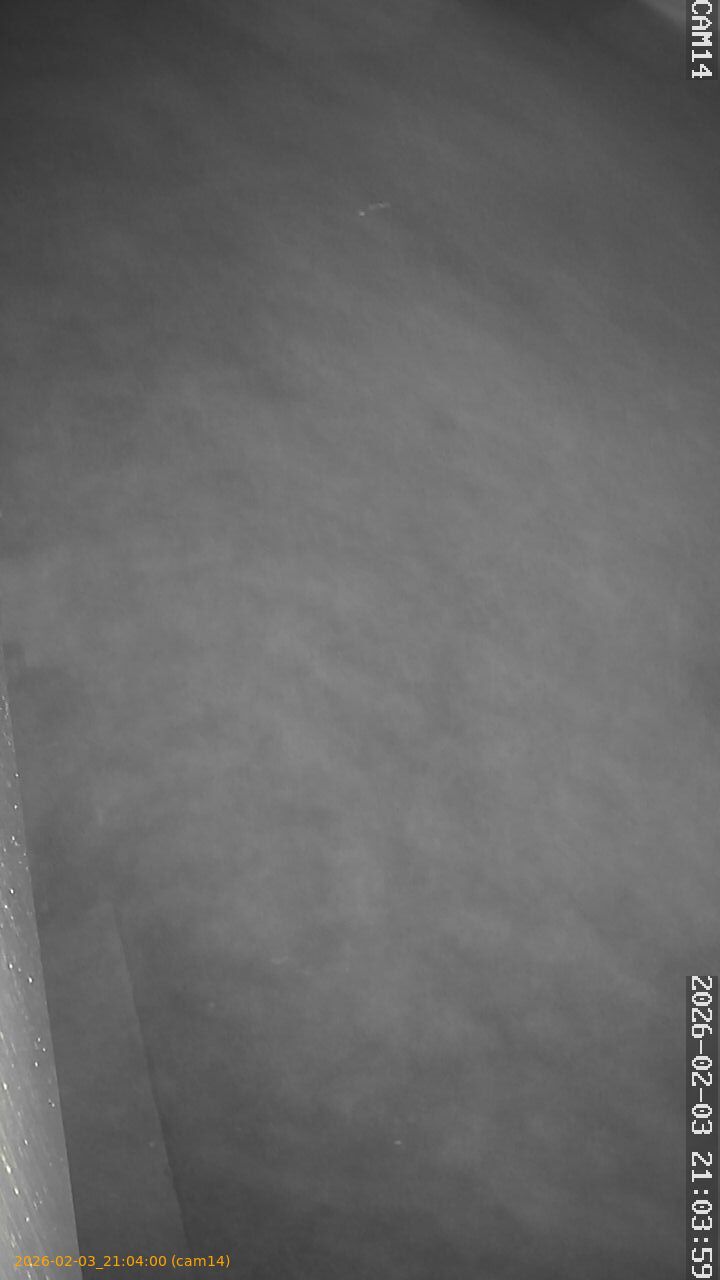 thumbnail_20260203210400