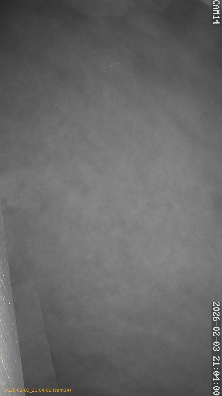 thumbnail_20260203210401