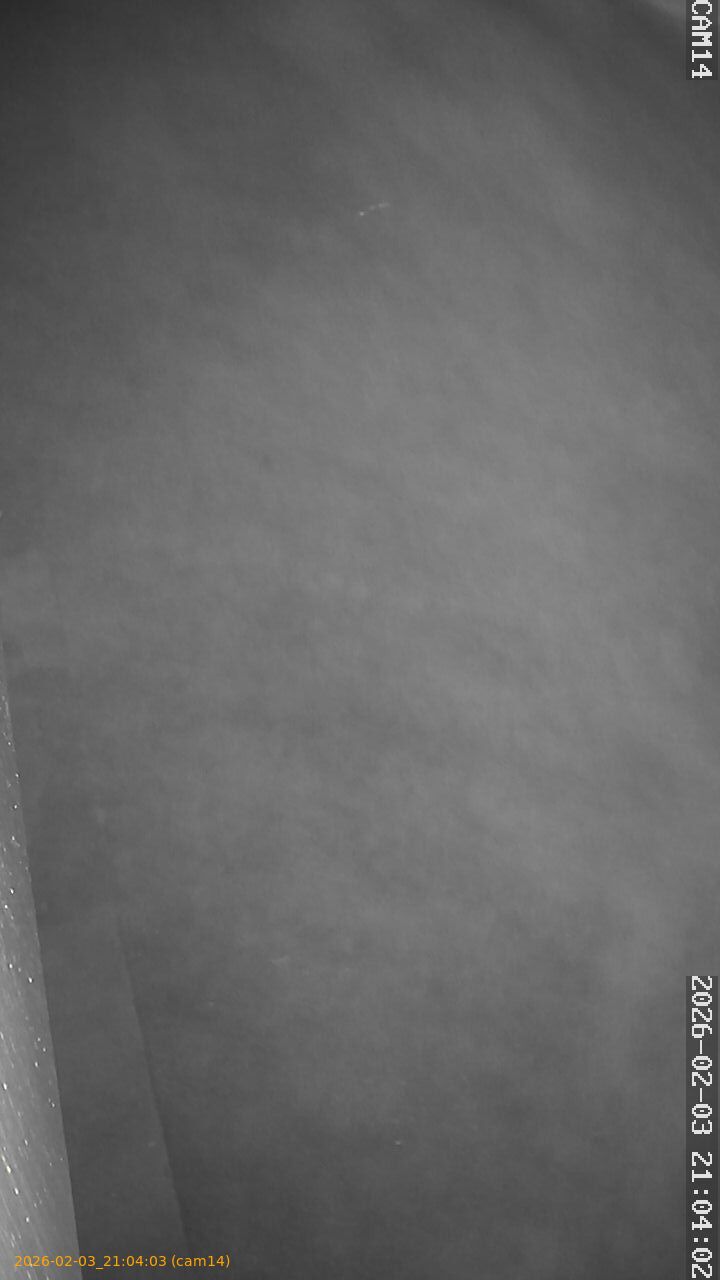 thumbnail_20260203210403