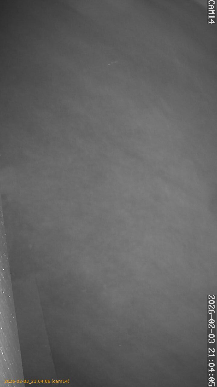 thumbnail_20260203210406