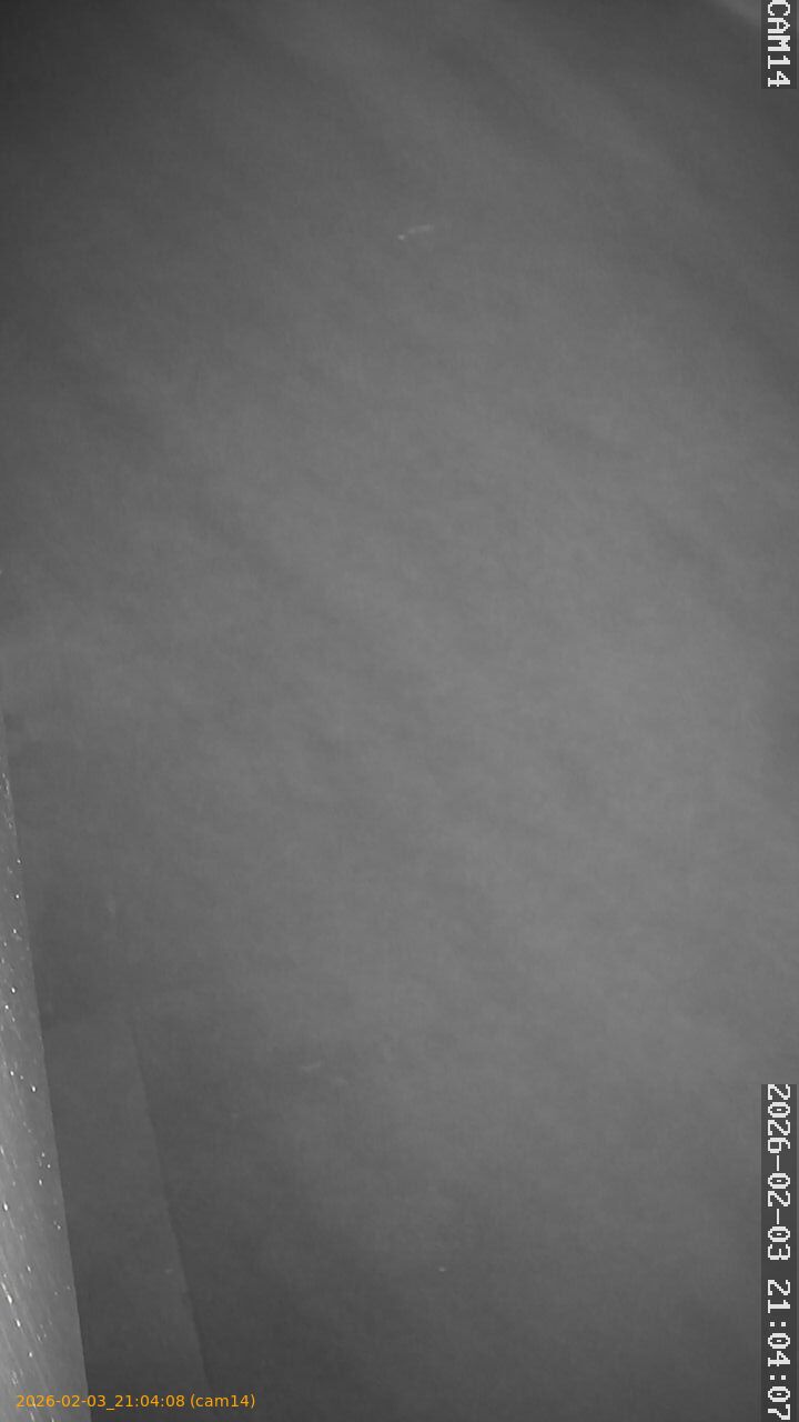 thumbnail_20260203210408