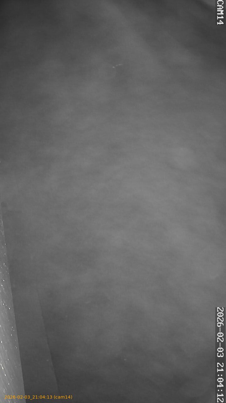 thumbnail_20260203210413