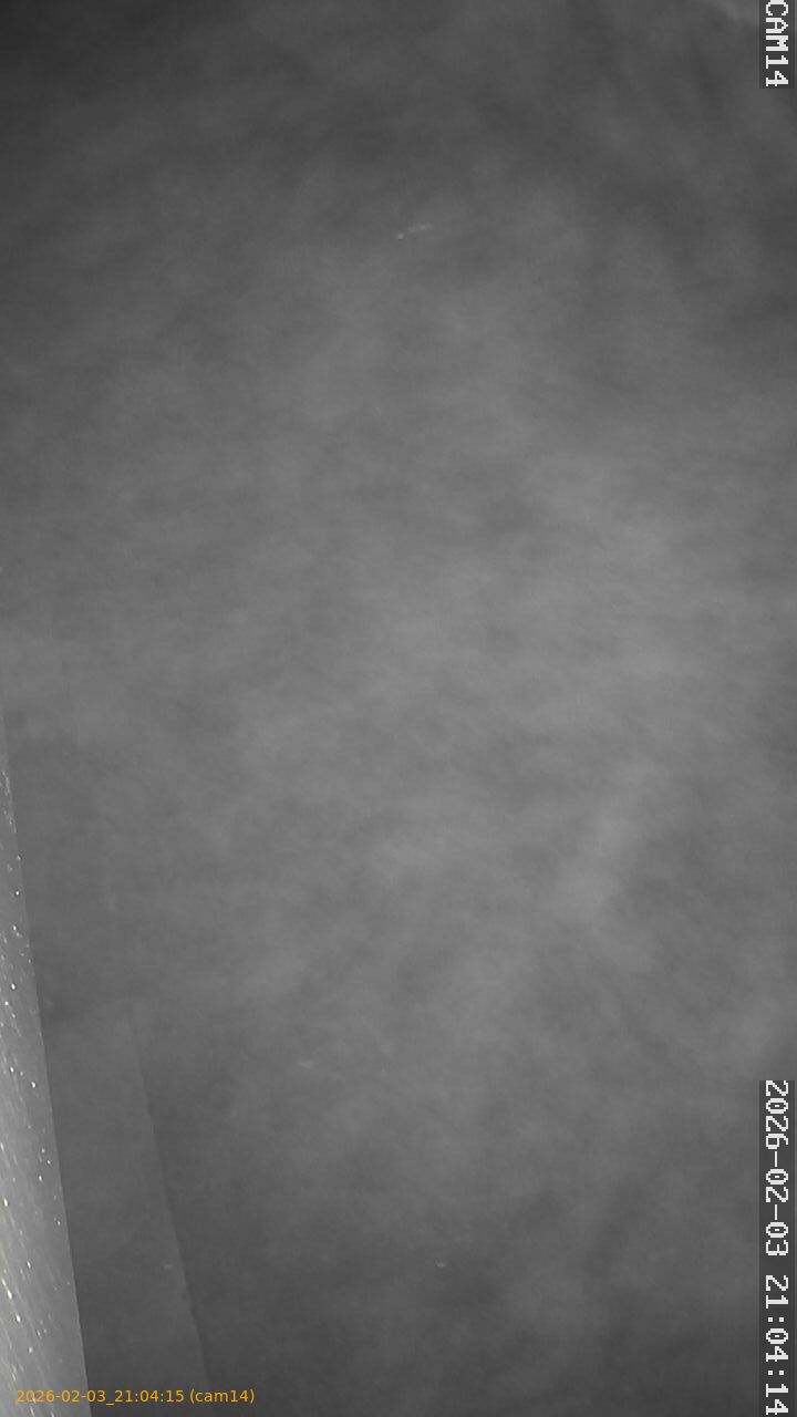 thumbnail_20260203210415