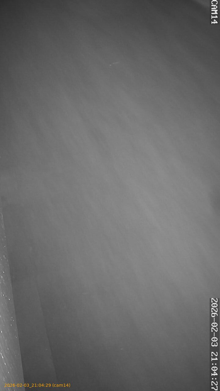 thumbnail_20260203210429