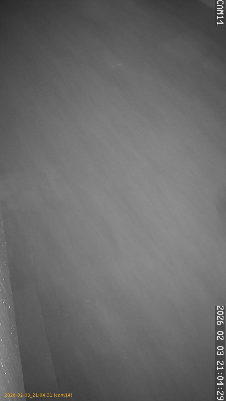 thumbnail_20260203210431