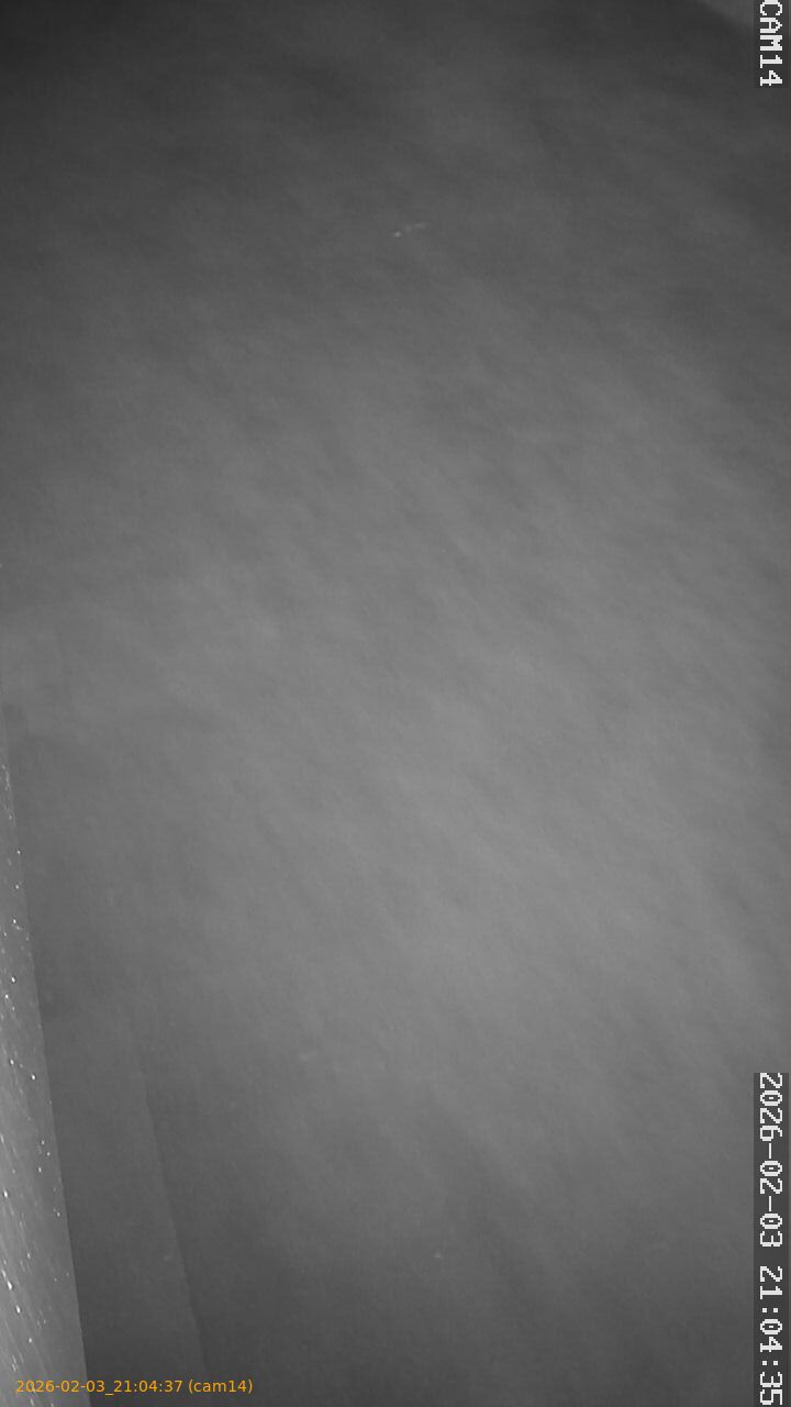 thumbnail_20260203210437