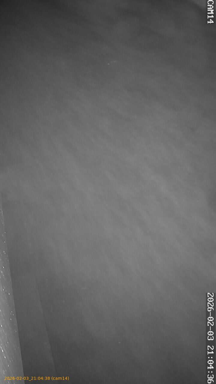 thumbnail_20260203210438