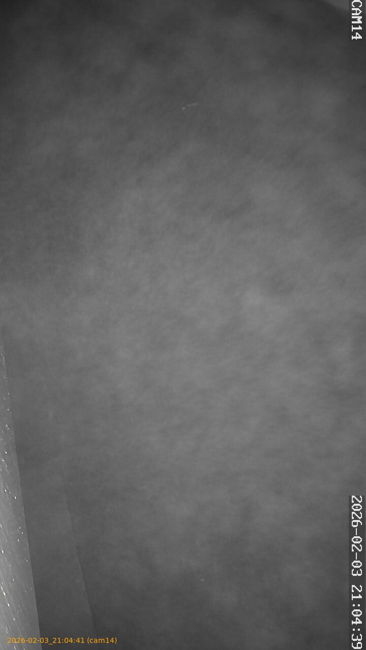 thumbnail_20260203210441