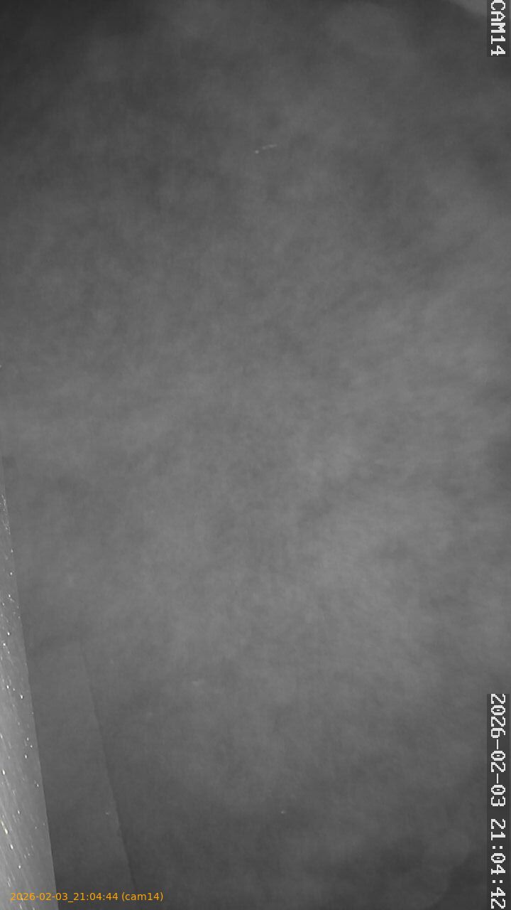 thumbnail_20260203210444