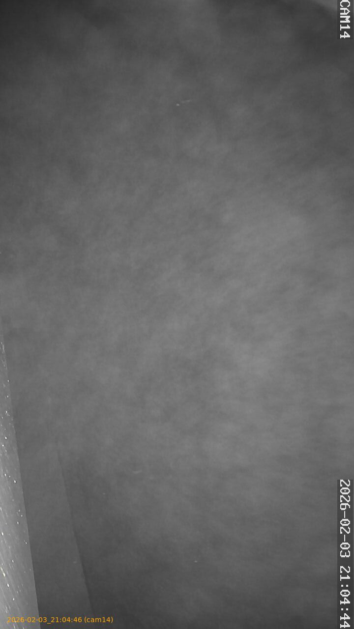 thumbnail_20260203210446