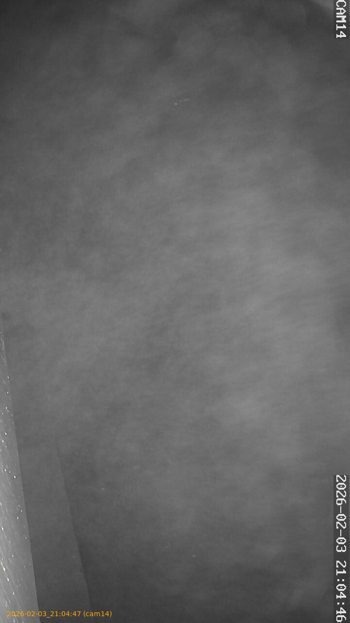 thumbnail_20260203210447