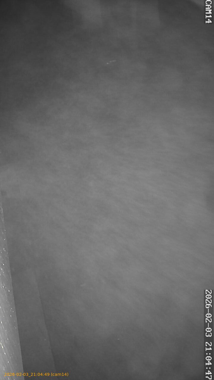 thumbnail_20260203210449