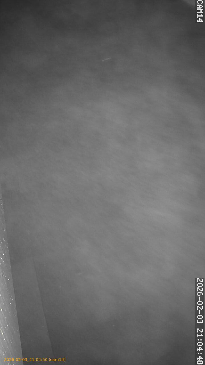 thumbnail_20260203210450