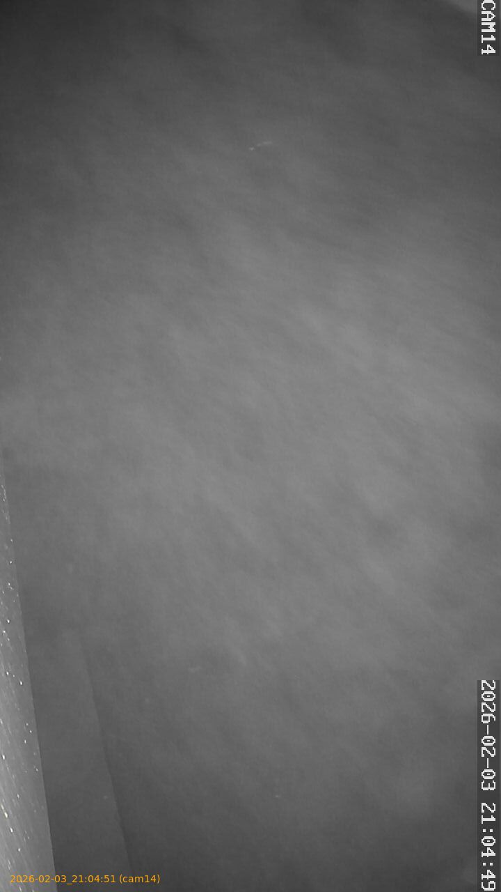 thumbnail_20260203210451