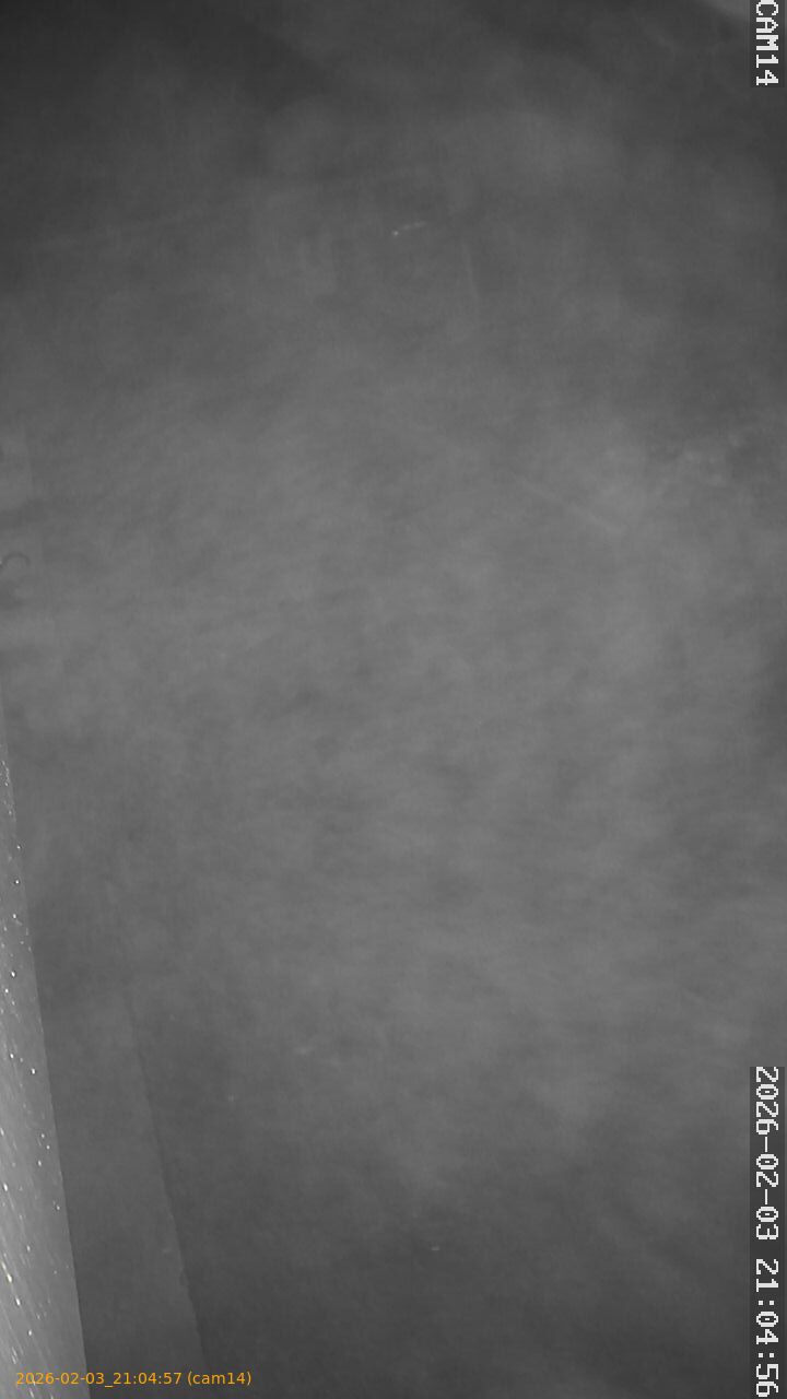 thumbnail_20260203210457