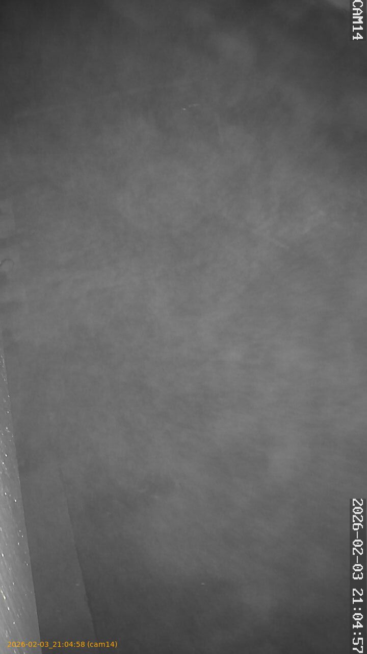 thumbnail_20260203210458