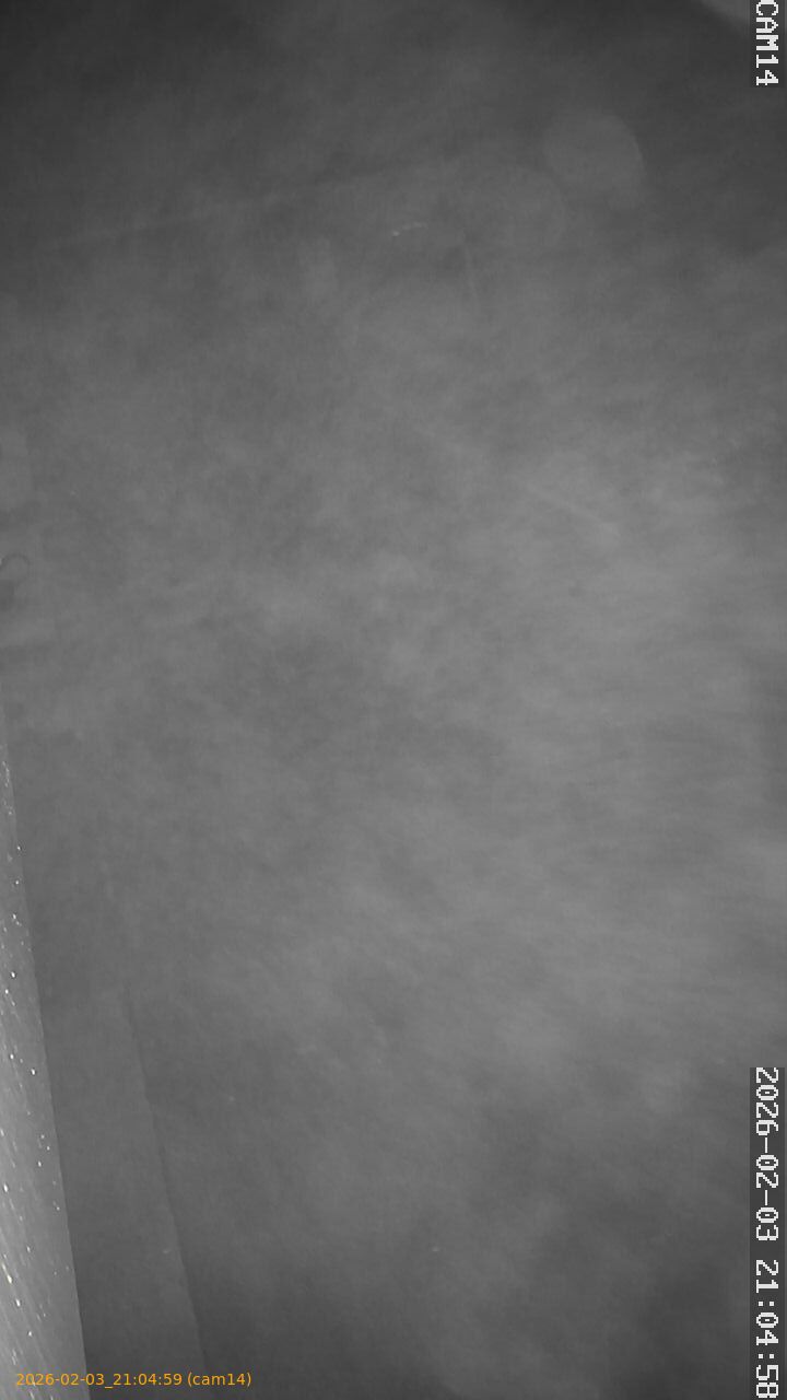 thumbnail_20260203210459