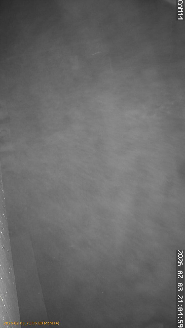 thumbnail_20260203210500