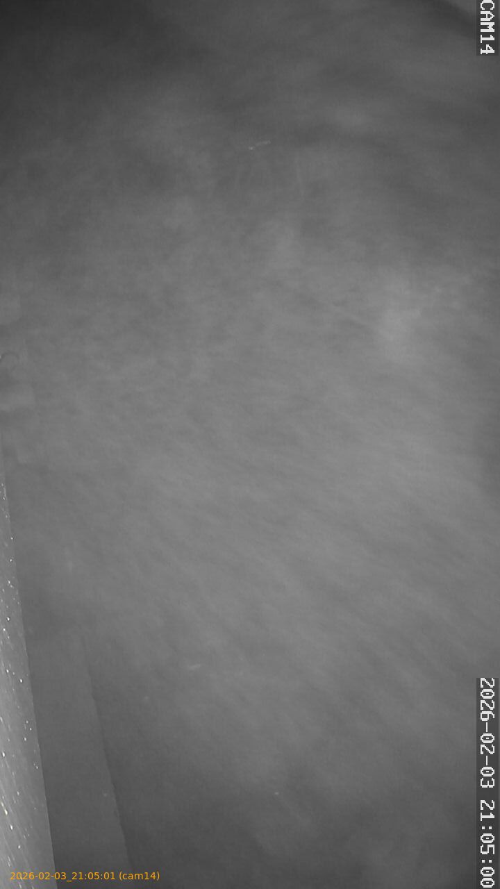 thumbnail_20260203210501