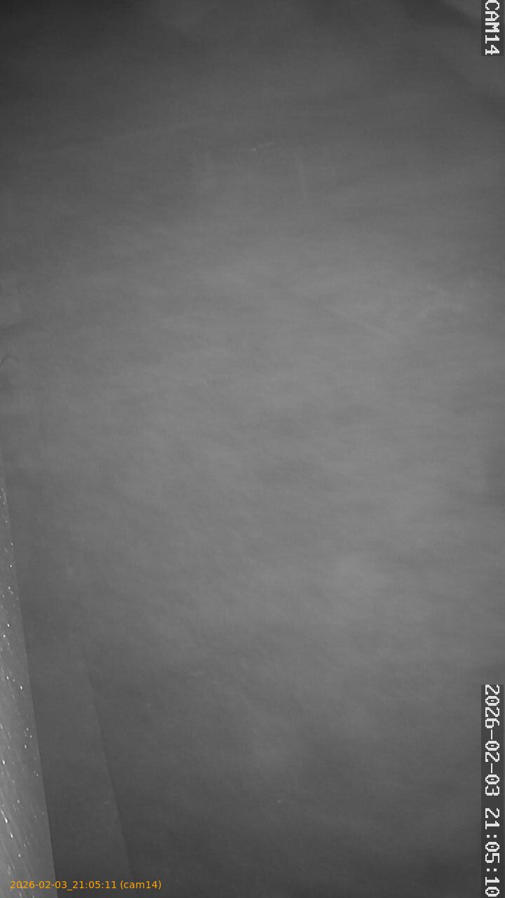 thumbnail_20260203210511