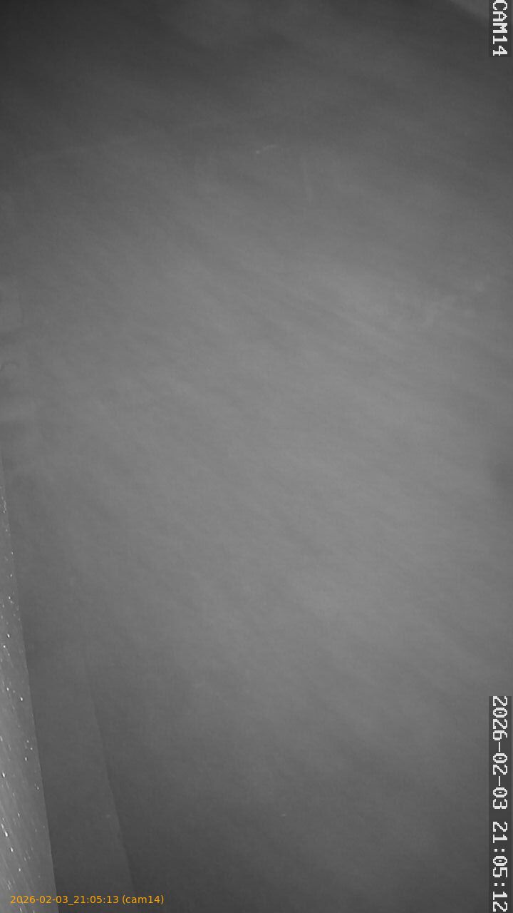 thumbnail_20260203210513