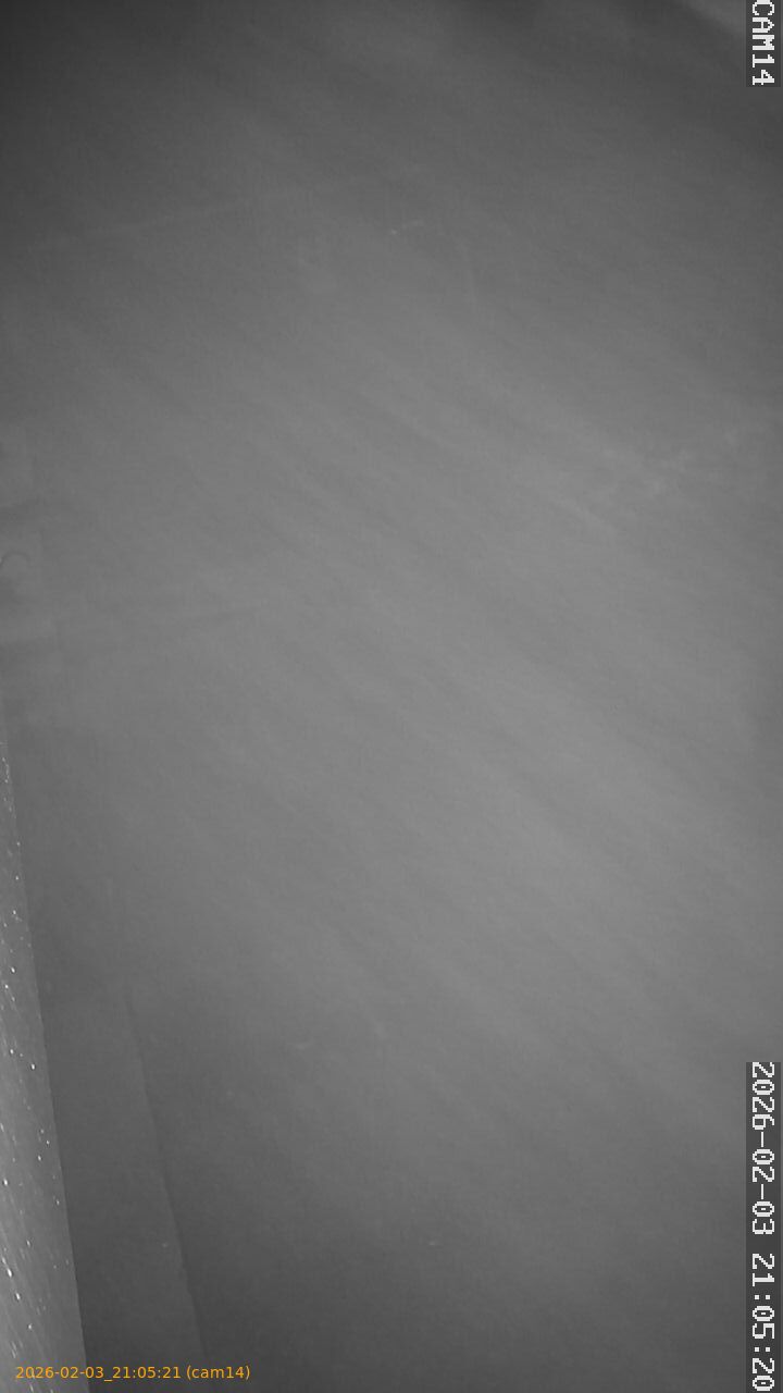 thumbnail_20260203210521