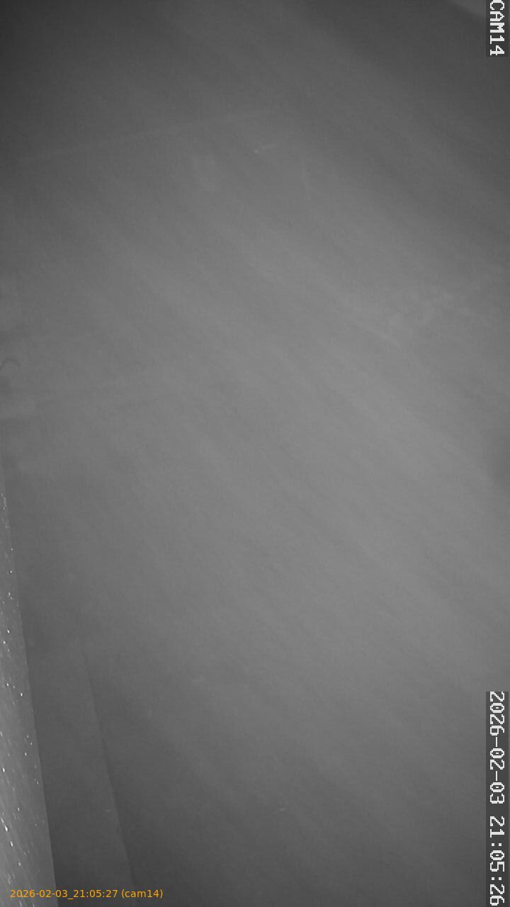 thumbnail_20260203210527