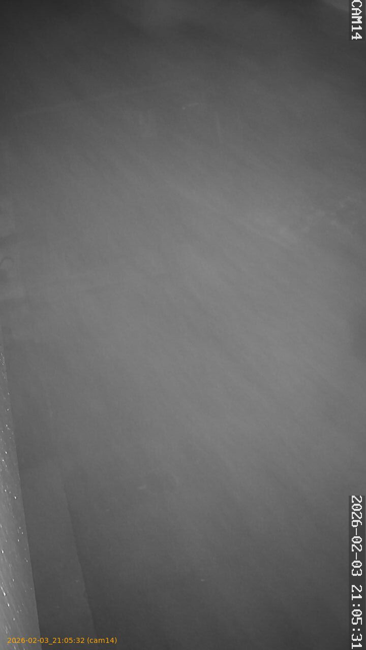 thumbnail_20260203210532