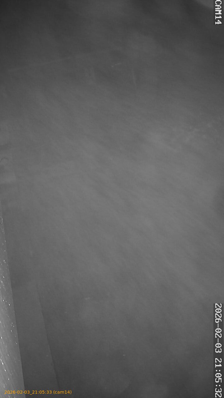 thumbnail_20260203210533