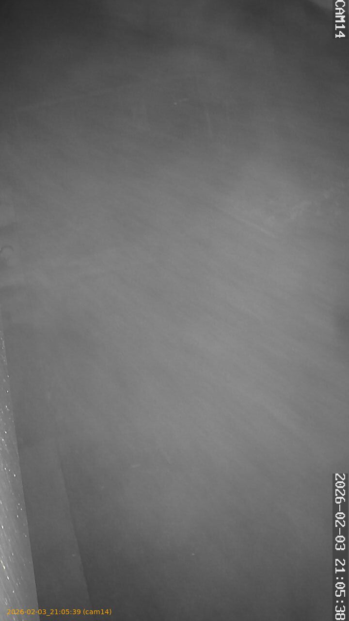 thumbnail_20260203210539