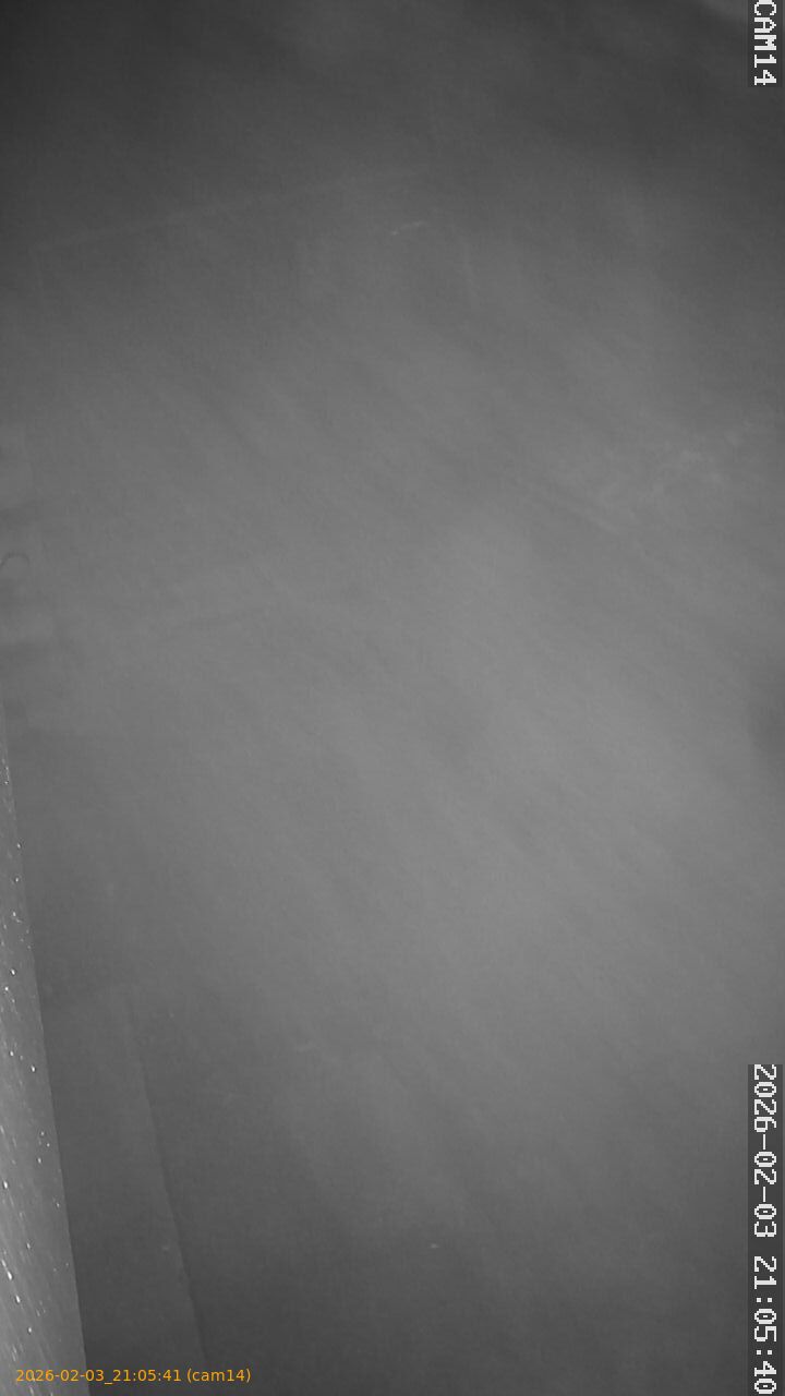 thumbnail_20260203210541