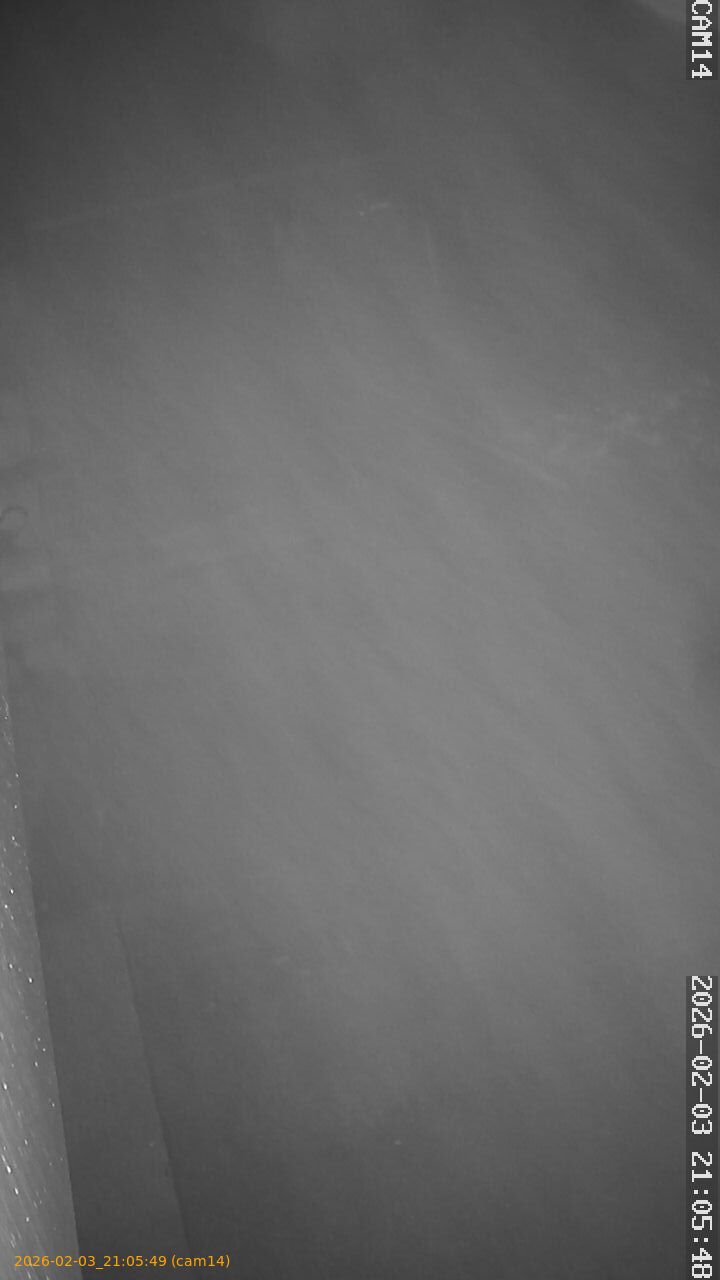 thumbnail_20260203210549