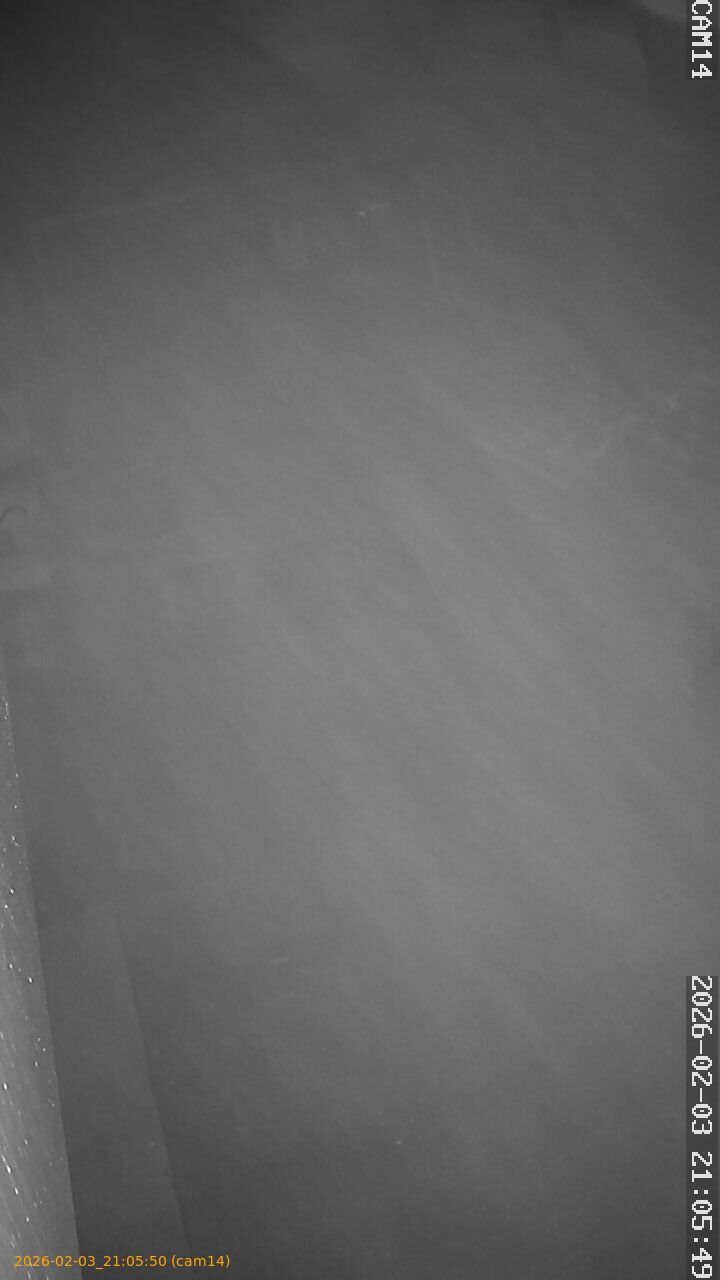 thumbnail_20260203210550