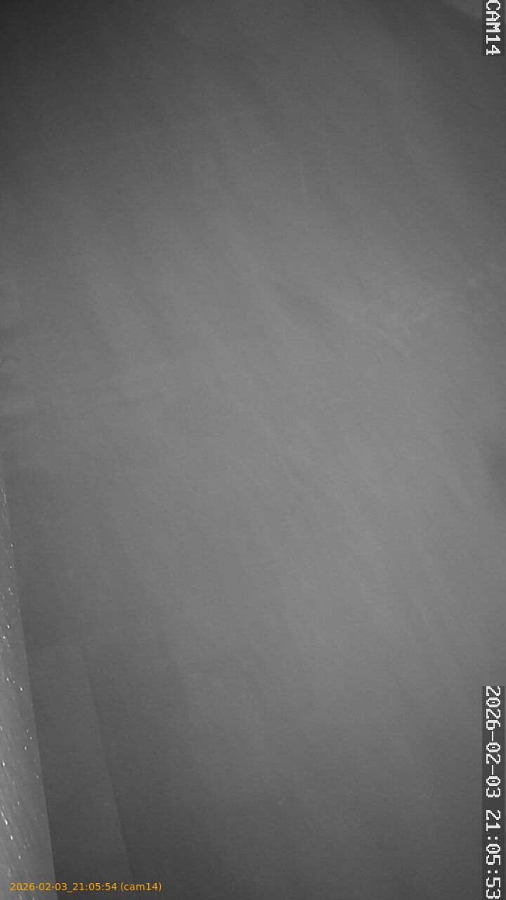 thumbnail_20260203210554